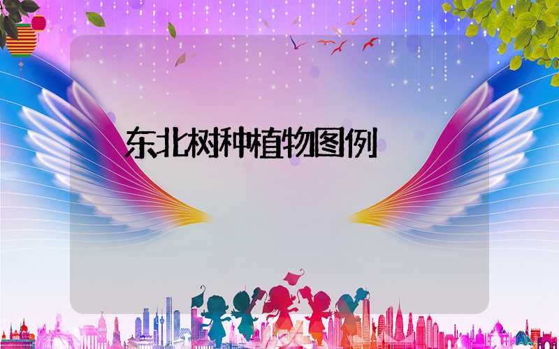 东北树种植物图例